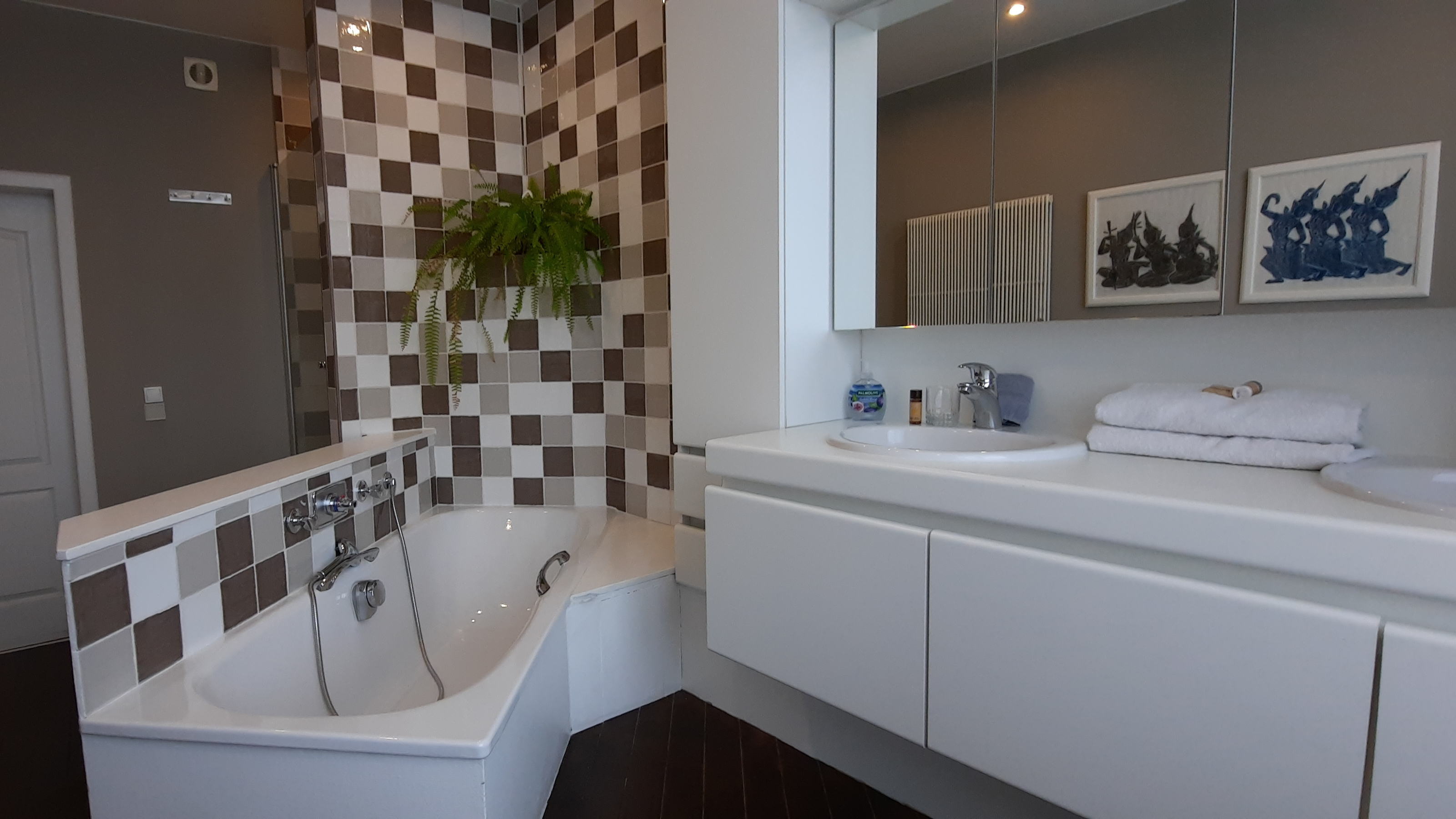 Luxe Kamer: aparte badkamer